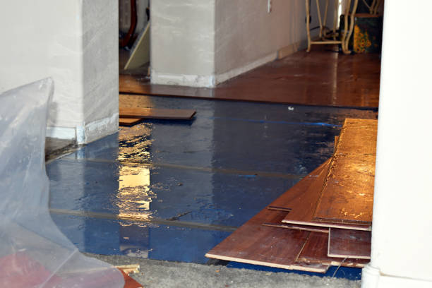 Professional Sewage Cleanup technician working in Farmington, IL